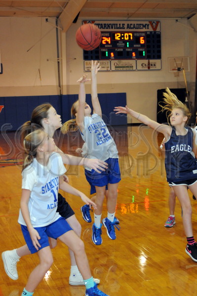 1-31-15 SA vs. HCS Pee Wee 055.JPG